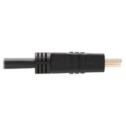Cable HDMI de Alta Velocidad con Ethernet P56 Tripp-Lite P569-010 - 3.05 m, HDMI, HDMI, MACHO, Negro