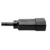 Cable de Tripp-Lite P004-010 de extensión y alimentación, C13 hembra C14 macho,estilo PDU - 10a, 250v, 18 AWG, 3.05 m, negro