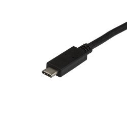 Cable de 0.5m USB-C a USB-A, Cable Adaptador USB Type C de Carga a USBA, Cable USB Tipo C USBC USB 3.1 de 10Gbps, Extremo Secund