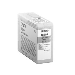 Cartucho Epson T850900, Negro