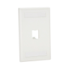 Placa de pared vertical clásica, salida para 1 puerto mini-com, con espacios para etiquetas, color blanco