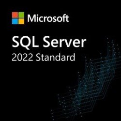 SQL Server 2022 - 1 user CAL, Licencia CSP Perpetuo, Comercial