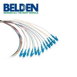 Pigtail de terminación de campo FTSSB900PR12 Belden OS2 SC simplex APC buffer 900 um 12 fibras codificadas en color longitud 2m
