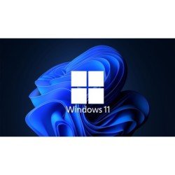 OEM Windows 11 pro for Workstation 64 bits español latam 1 pk dsp DVD
