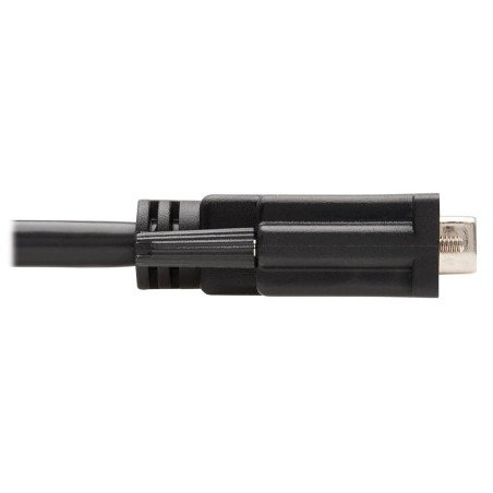 Tripp Lite P581-006 Cable DisplayPort a DVI, Adaptador DisplayPort con Broches a DVI-D de Conexión Única (M/M), 1.83 m [6 pies]